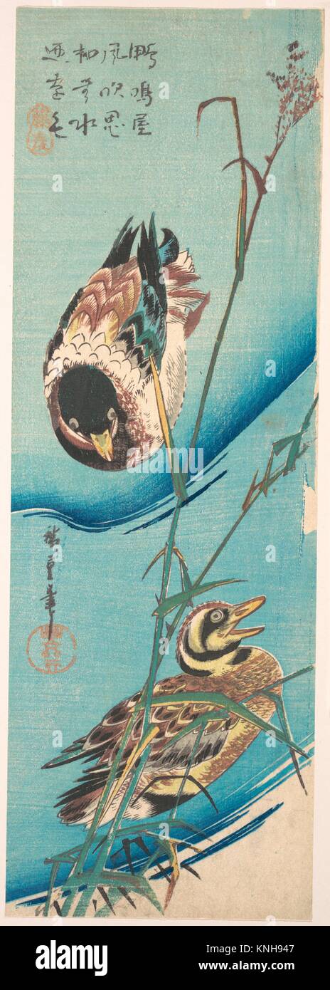 Stockenten und Schneebedeckten Schilf. Artist: Utagawa Hiroshige (Japanisch, Tokyo (EDO) 1797-1858 Tokyo (EDO)); Zeitraum: Edo periode (1615-1868); Datum: Stockfoto
