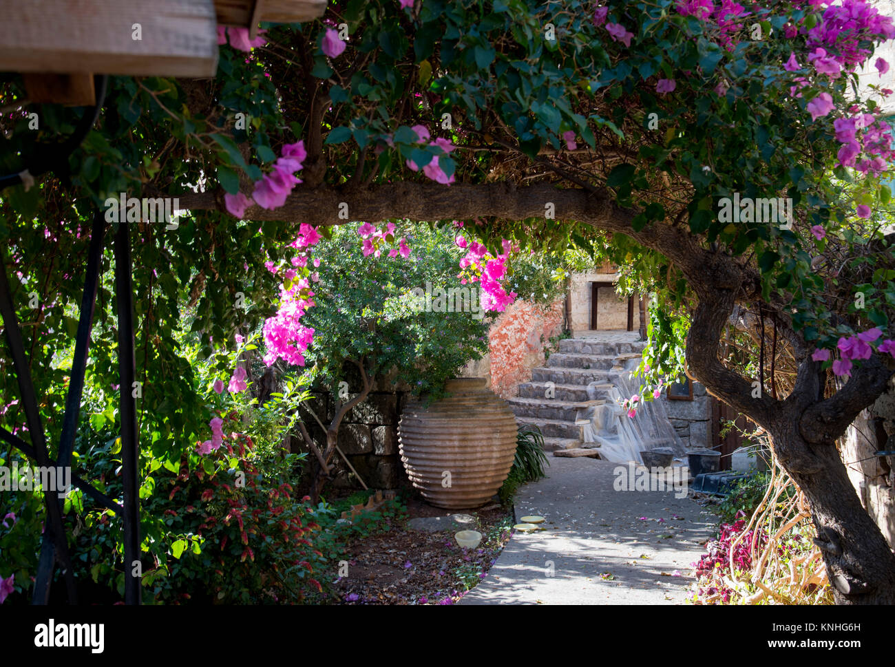 Griechischer garten Fotos und Bildmaterial in hoher Auflösung Alamy