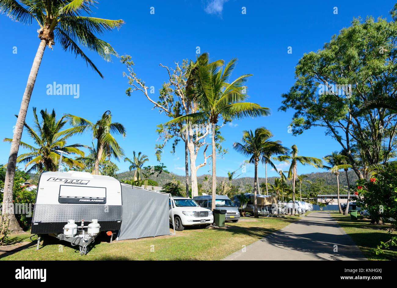 Holiday Park bei Airlie Beach, Whitsunday Coast, Queensland, Queensland, Australien Stockfoto