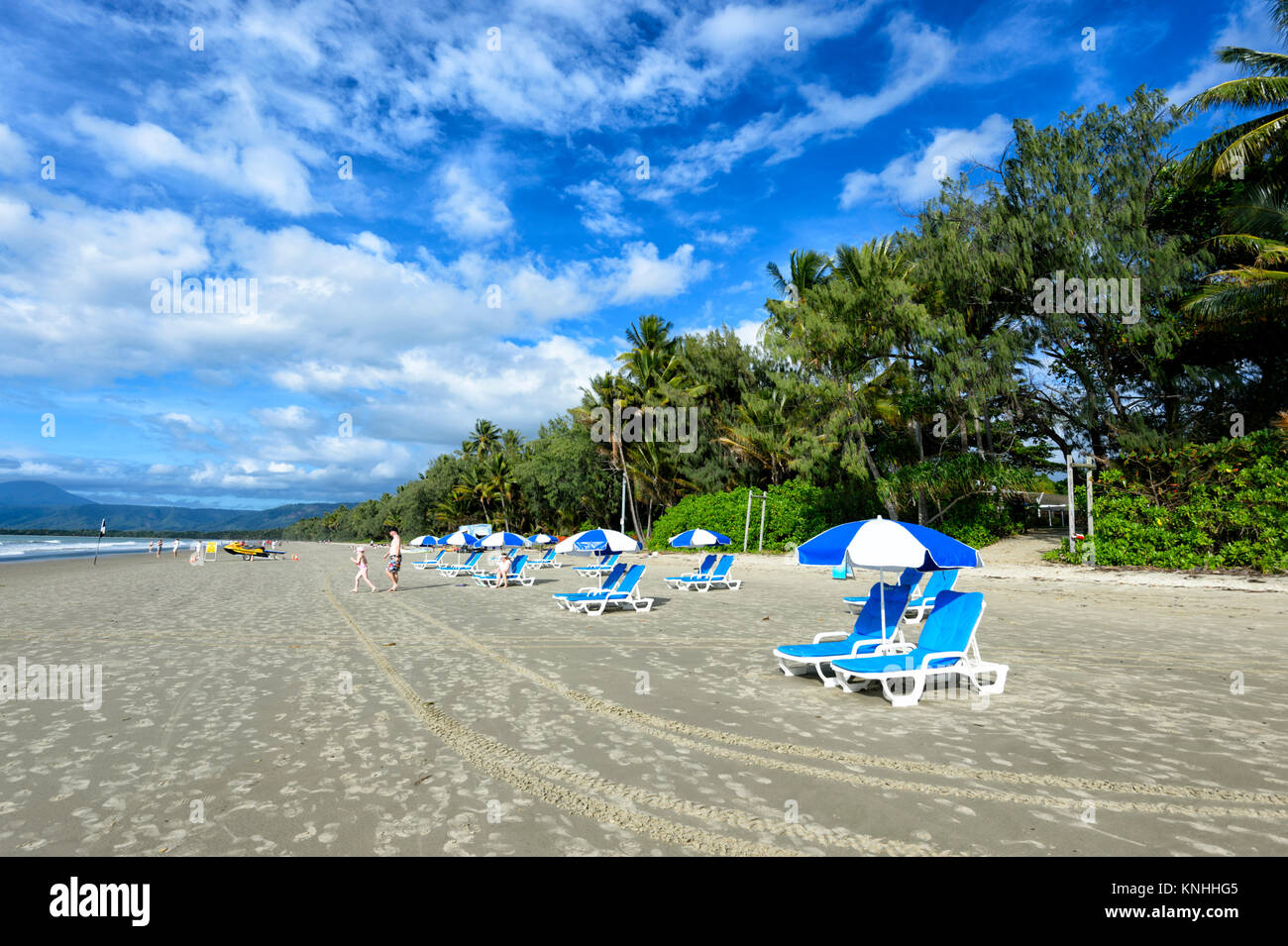 Blauen und Weißen Liegestühlen mit Sonnenschirmen am Four Mile Beach, Port Douglas, Far North Queensland, FNQ, QLD, Australien Stockfoto