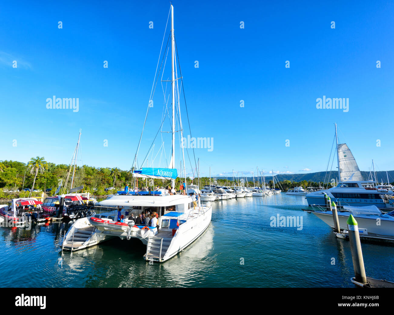 Touristen, die auf einer Kreuzfahrt im Reef Marina, Port Douglas, Far North Queensland, FNQ, QLD, Australien Stockfoto