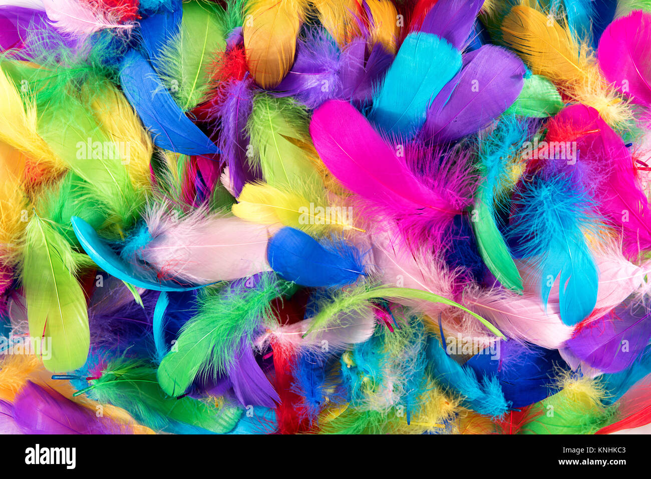 Hintergrund Textur von bunt gefärbten Vogelfedern in den Farben des Regenbogens oder Spektrum in einer zufälligen Stapel von oben in einem full frame gesehen Stockfoto