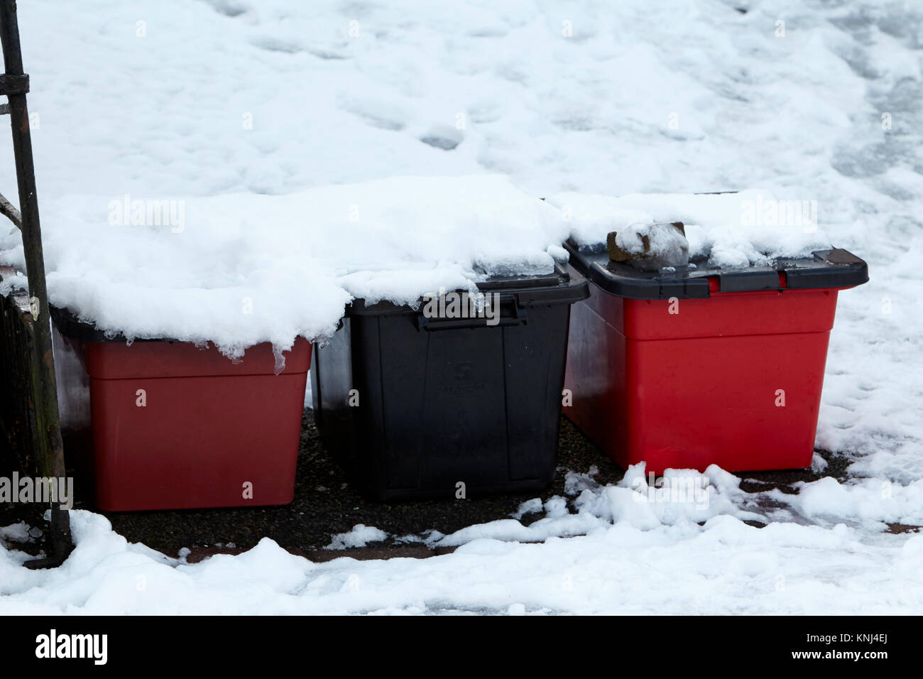 Nicht abgeholte curbside Papierkörbe im Schnee newtownabbey Nordirland uk abgedeckt Stockfoto