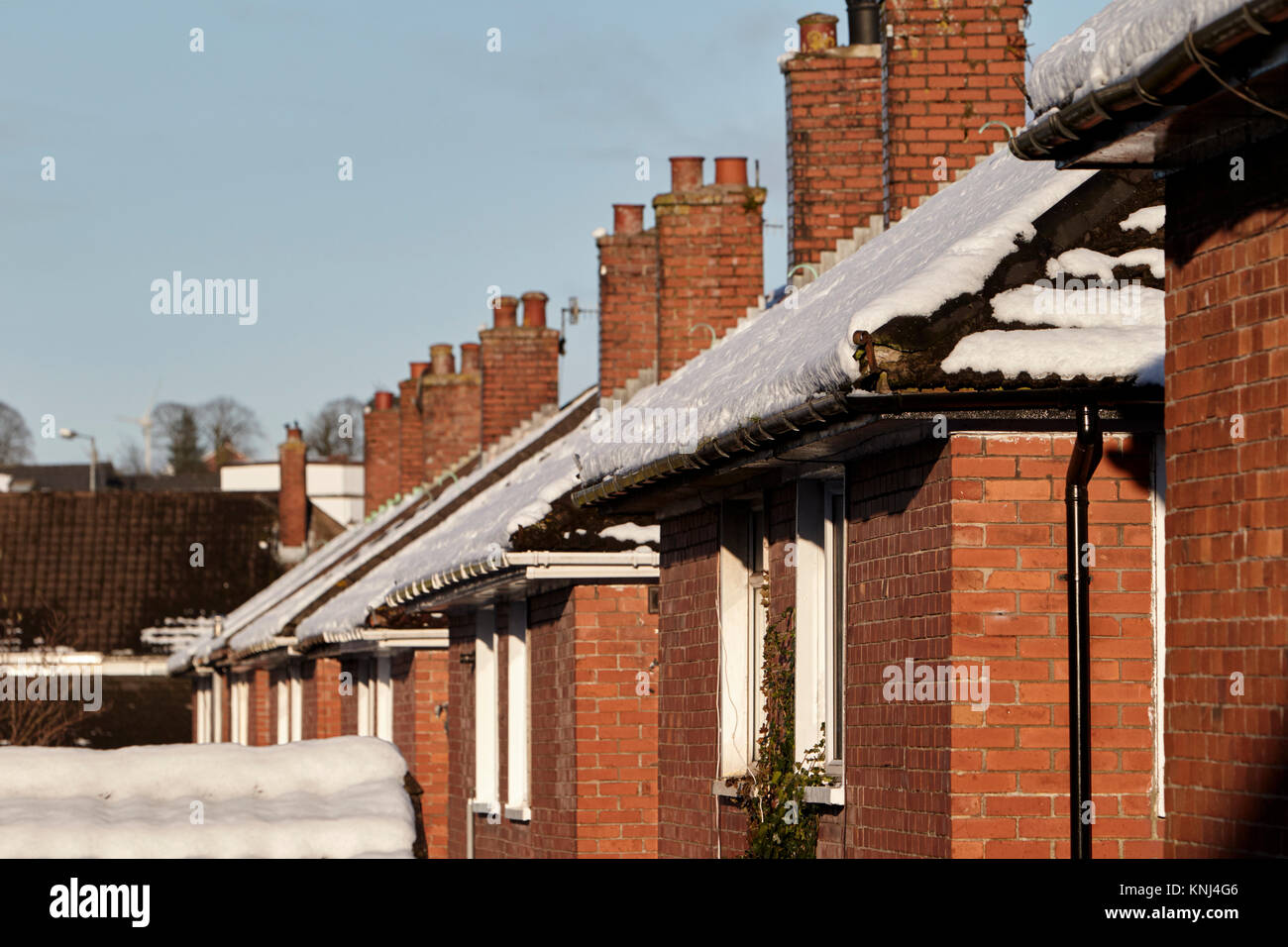 Schnee bedeckten Dächer der älteren Wohnungsbestand newtownabbey Nordirland uk Stockfoto