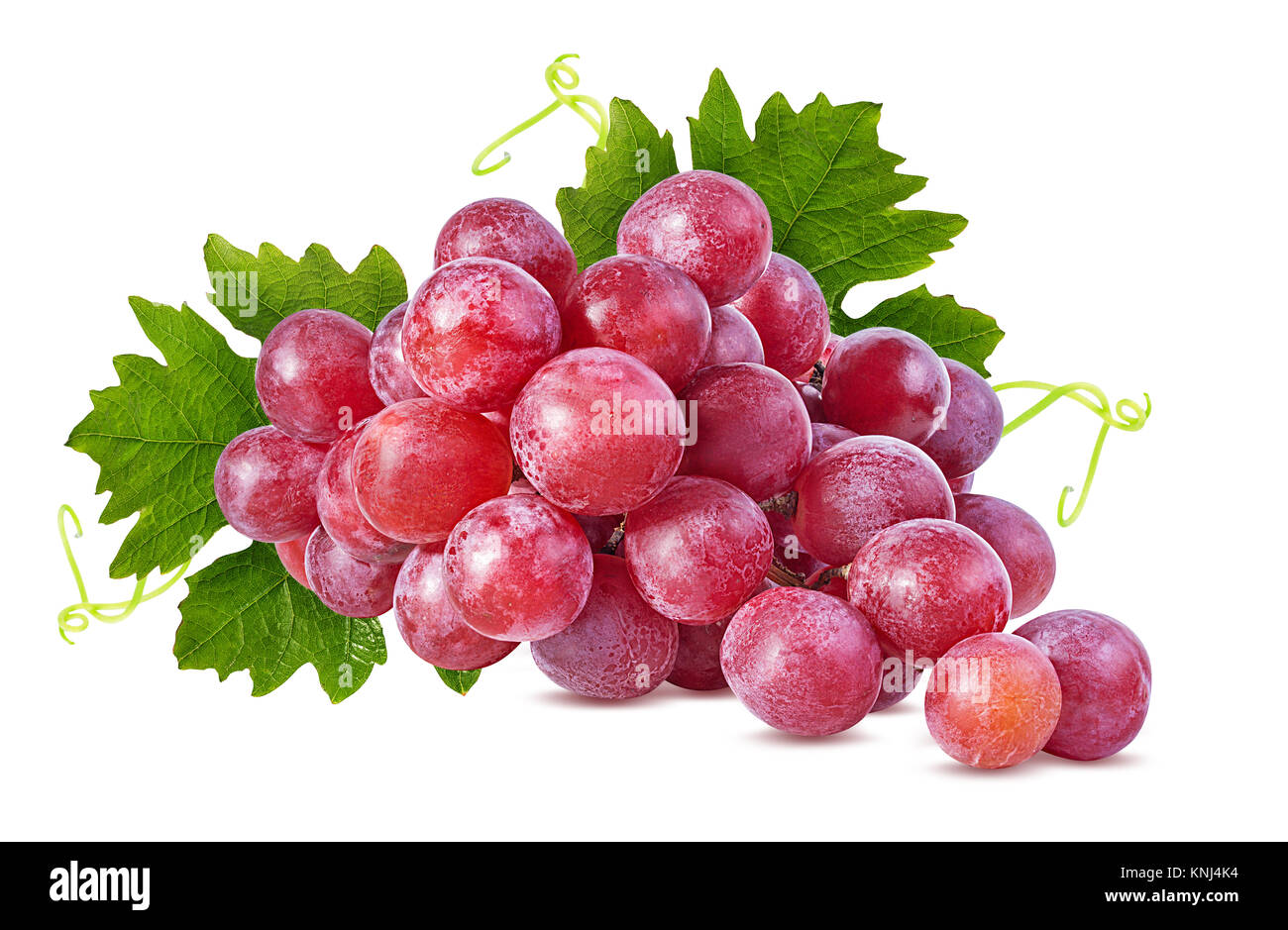 Frischen Weintrauben isoliert auf weißem Hintergrund Stockfoto