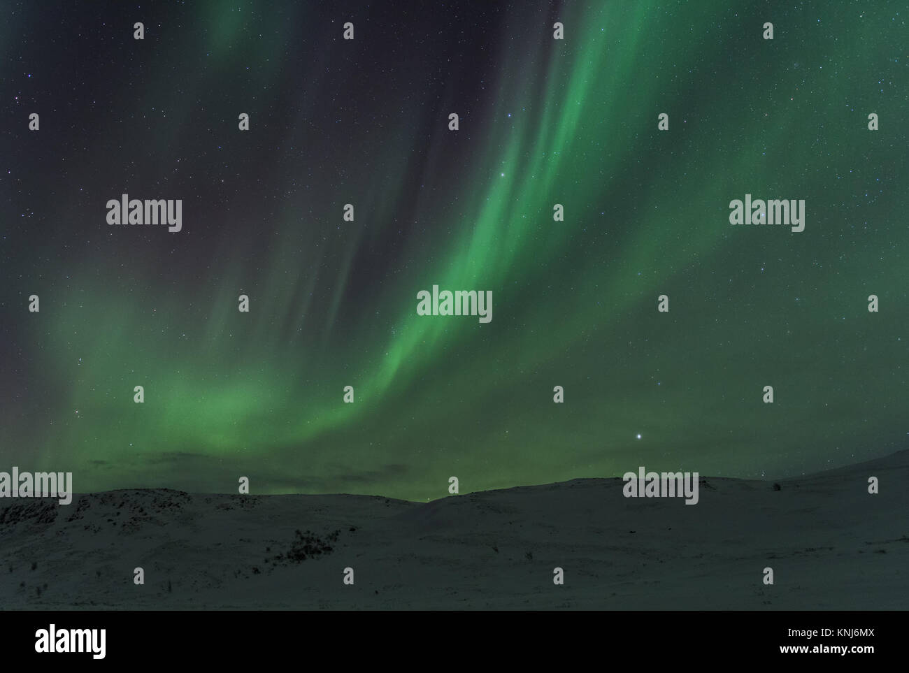 Nordlichter Norwegen, aurora borealis, Nordlichter alta, Nordlichter finnmark, troms Og finnmark, Tourismus, Astronomie, Polar, Sterne, magnetisch Stockfoto