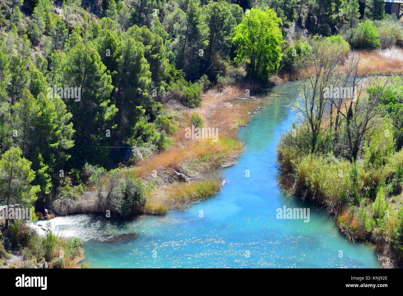 Blue River fließt durch den Wald. Stockfoto