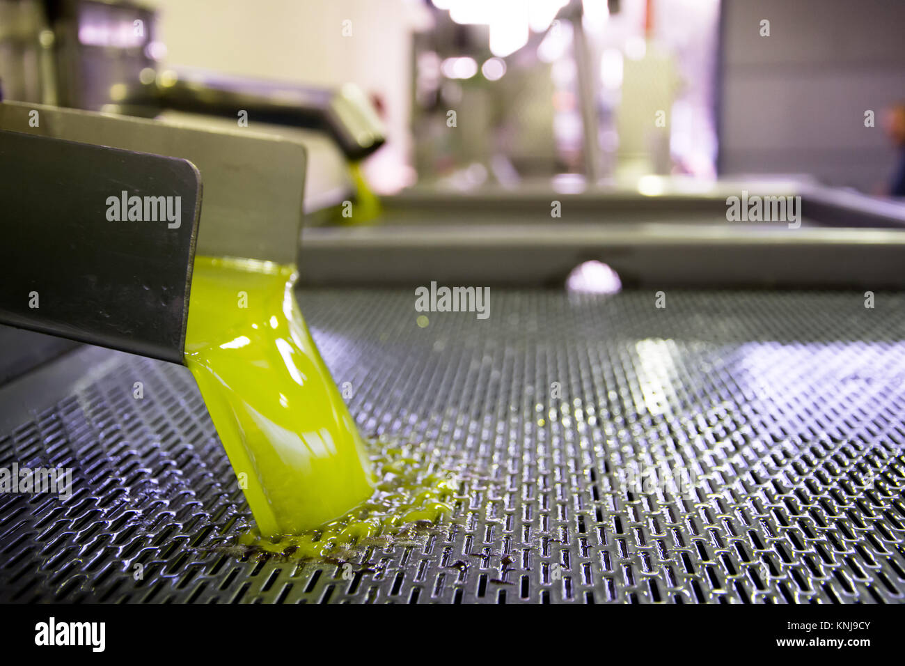 Frisches Öl in den Tank an einem kalten Gießen - drücken Sie die Fabrik nach der Olivenernte, Kreta, Griechenland. Stockfoto