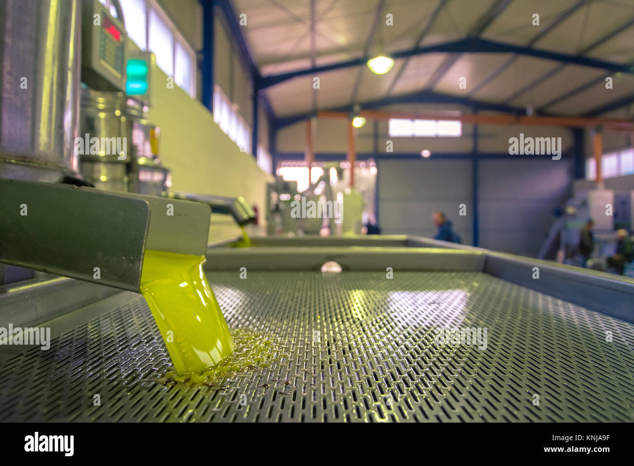 Frisches Öl in den Tank an einem kalten Gießen - drücken Sie die Fabrik nach der Olivenernte, Kreta, Griechenland. Stockfoto