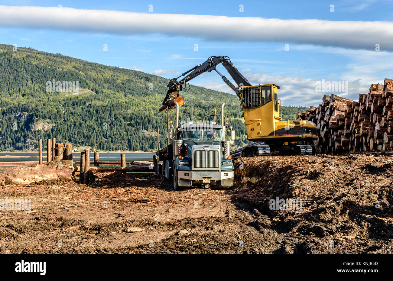 Der Traktor Lasten und stapelt die Protokolle auf dem Lkw im Vordergrund, im Hintergrund Eine grüne Hügel mit Bäumen, ein blauer Himmel, ein von Protokollen stack, ein Fluss Stockfoto