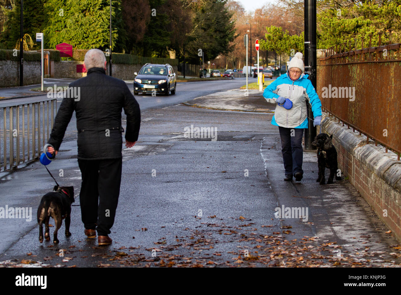 Dundee, Großbritannien. 12. Dezember, 2017. UK Wetter: Während die meisten Großbritannien Schnee Schneestürme gehabt hat, Tayside hat kalte eisige Wetter mit hazy Sonnenschein mit Temperaturen unter dem Gefrierpunkt (-1°C). Hund Spaziergänger trotzen der Kälte ihre Hunde nehmen für einen Spaziergang entlang der MacAlpine Straße in Dundee. Credits: Dundee Photographics/Alamy leben Nachrichten Stockfoto