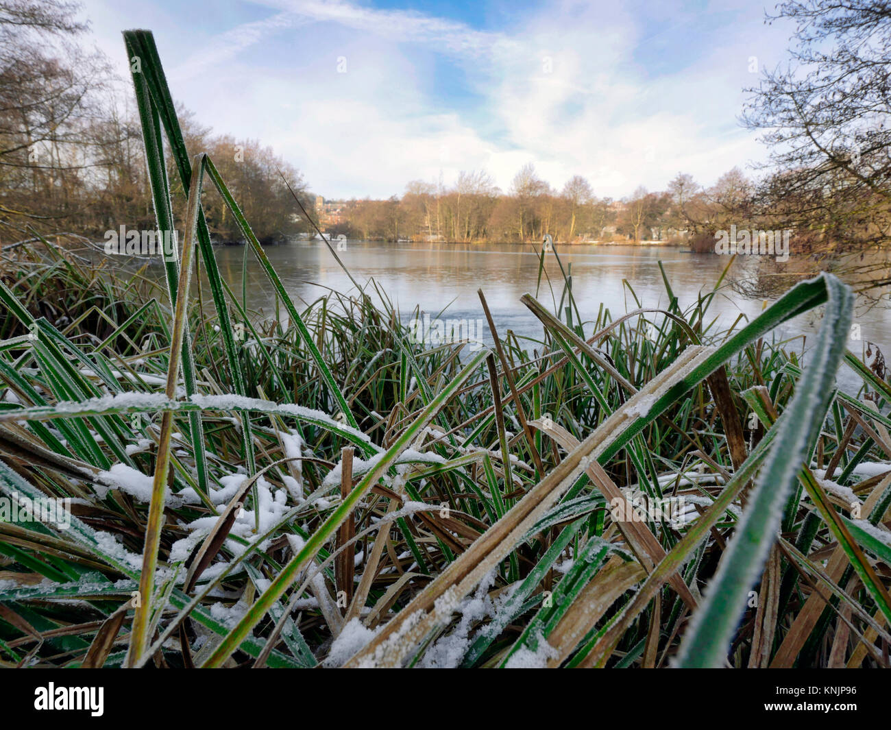 Ashbourne, Derbyshire. 12 Dez, 2017. UK Wetter: gefrorene Eis auf einem See in Ashbourne, Derbyshire im Peak District National Park Credit: Doug Blane/Alamy leben Nachrichten Stockfoto