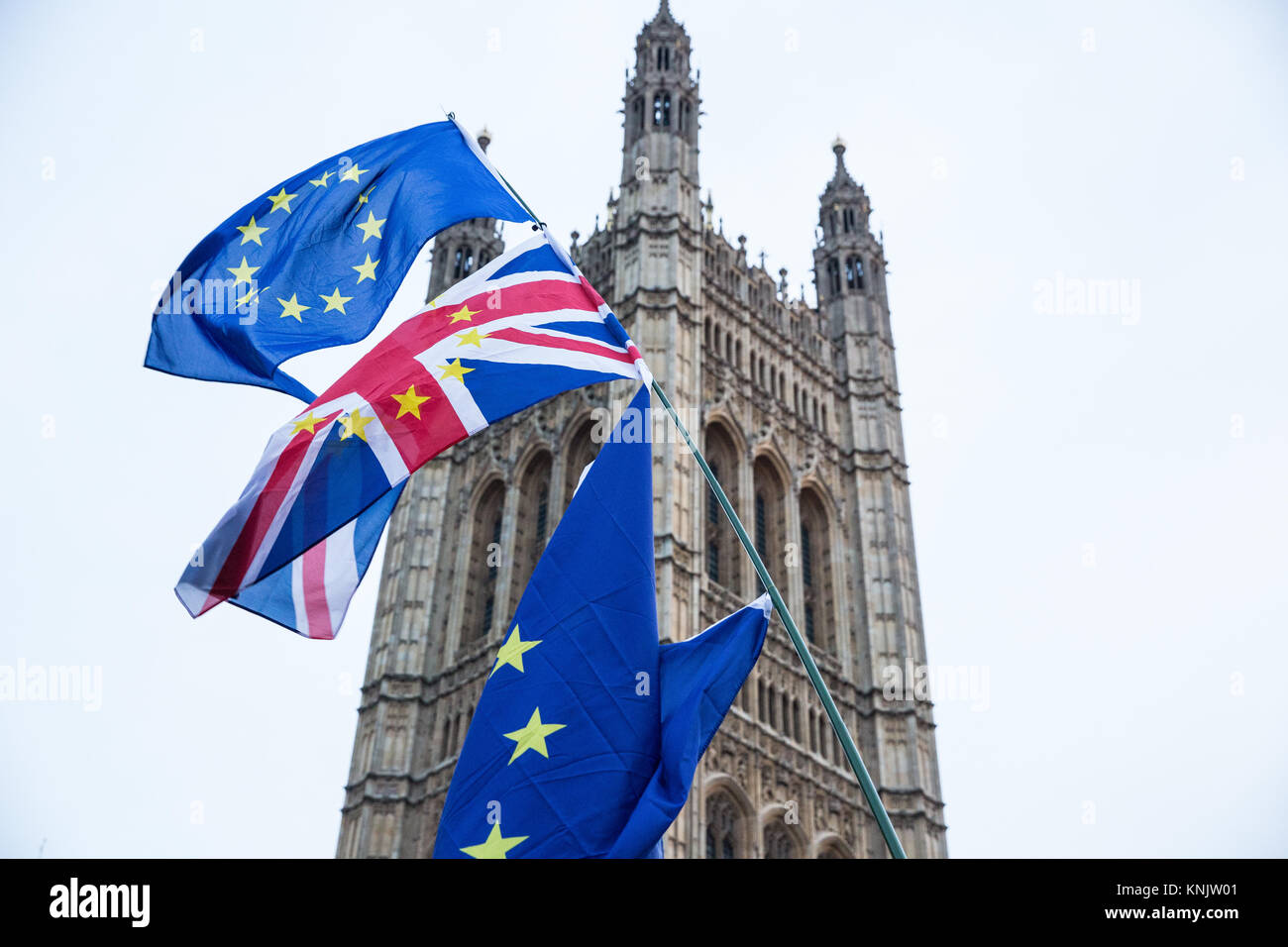 London, Großbritannien. 12 Dez, 2017. Anti-Brexit Demonstranten wave Europäische Union Flaggen außerhalb des Parlaments. Credit: Mark Kerrison/Alamy leben Nachrichten Stockfoto