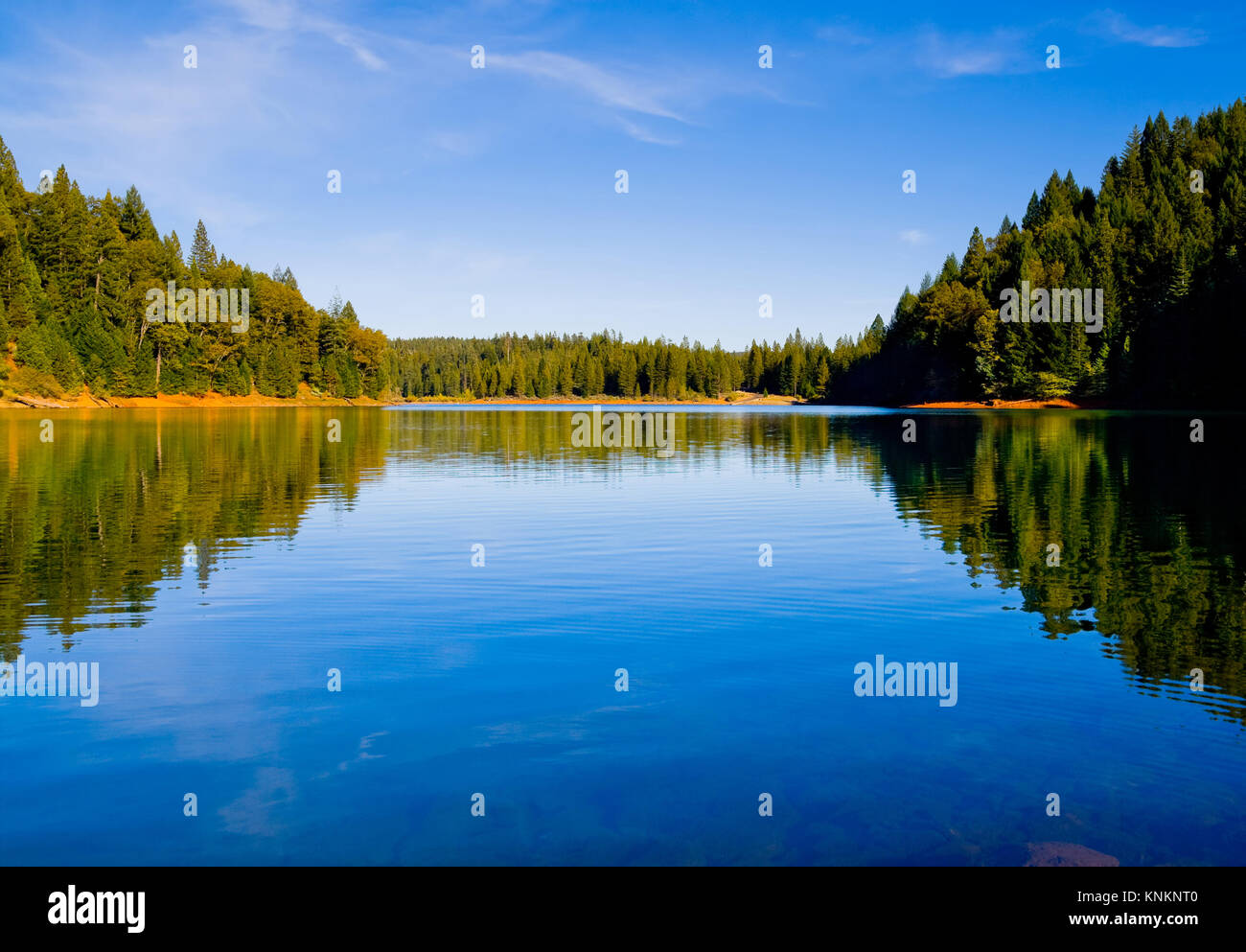 Reflexion in den klaren, blauen See in Nordkalifornien Stockfoto