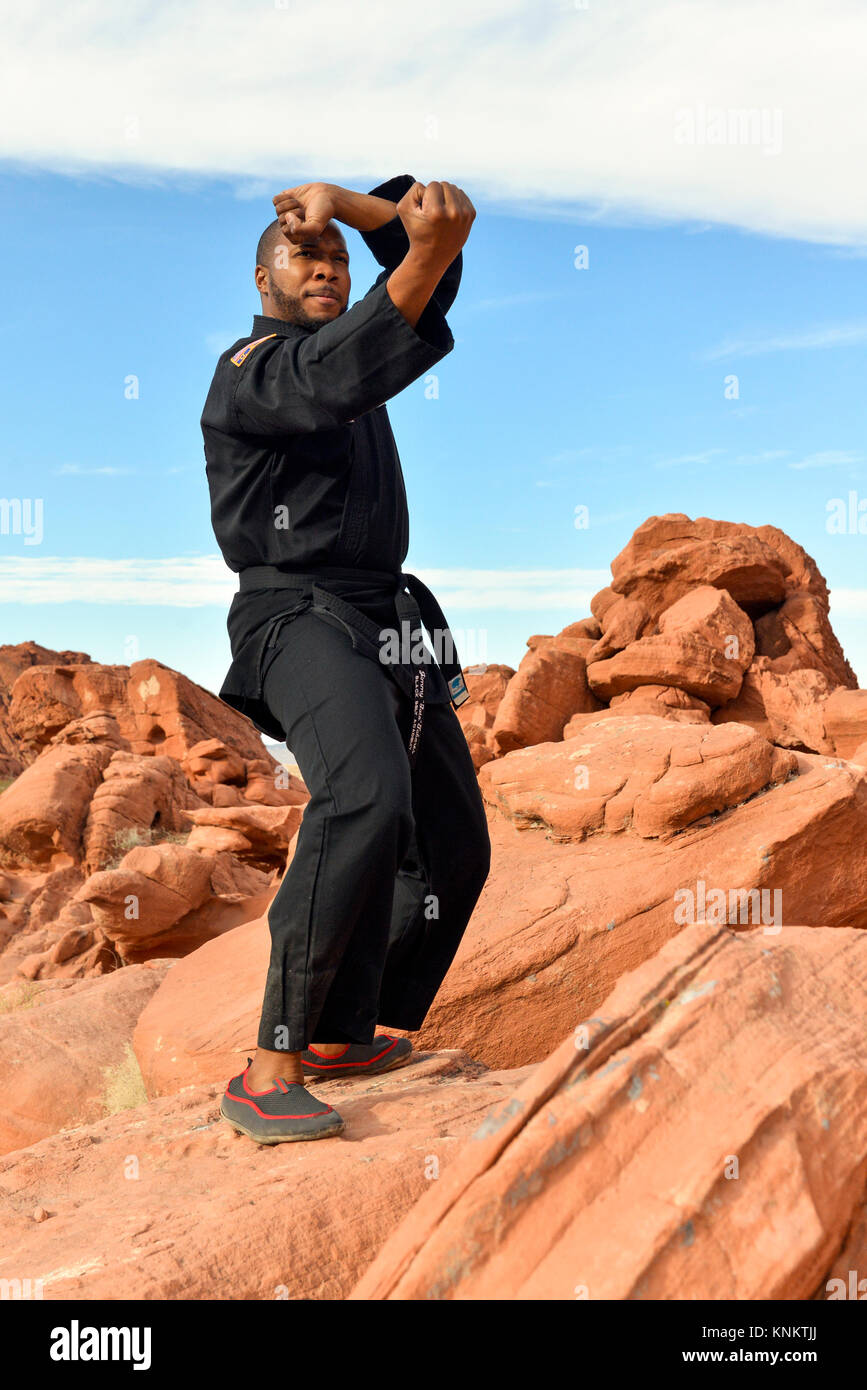 African American man praktizieren Kampfkunst in der Wüste von Nevada. Stockfoto