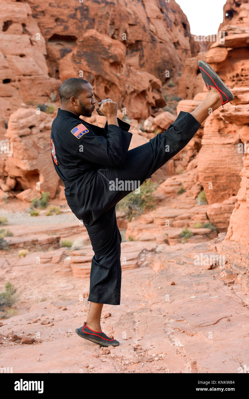 African American man praktizieren Kampfkunst in der Wüste von Nevada. Stockfoto