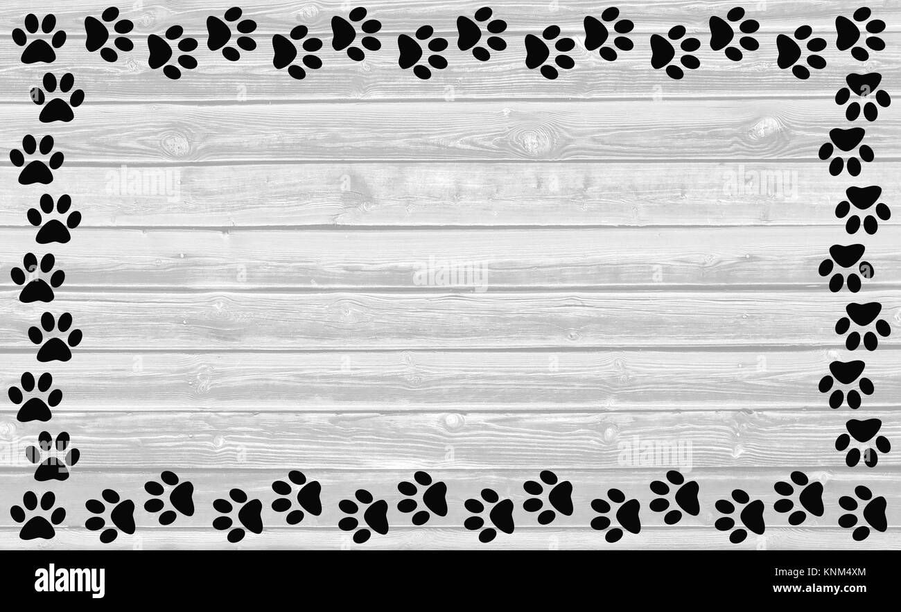 Schwarz Pfotenabdrücke Frame auf weißem Holz- Hintergrund mit Kopie Platz für Text. Stockfoto