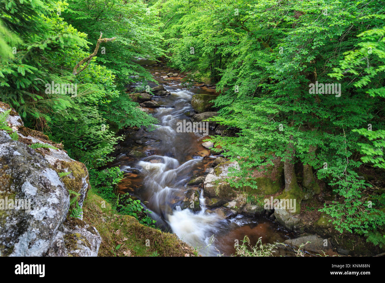 Frankreich, Nièvre (58), Parc Naturel Régional du Morvan, Gouloux, la Cure // Frankreich, Nievre, im Regionalen Naturpark des Morvan, Gouloux, Heilung Fluss Stockfoto