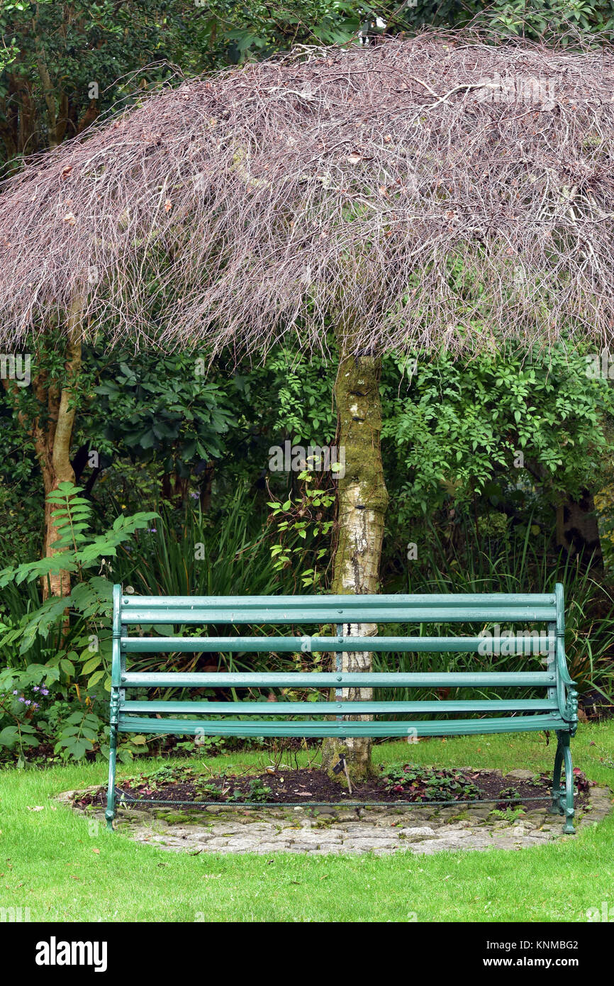 Eine Gusseiserne Parkbank Oder Garten Sitz Unter Einem Dekorativen