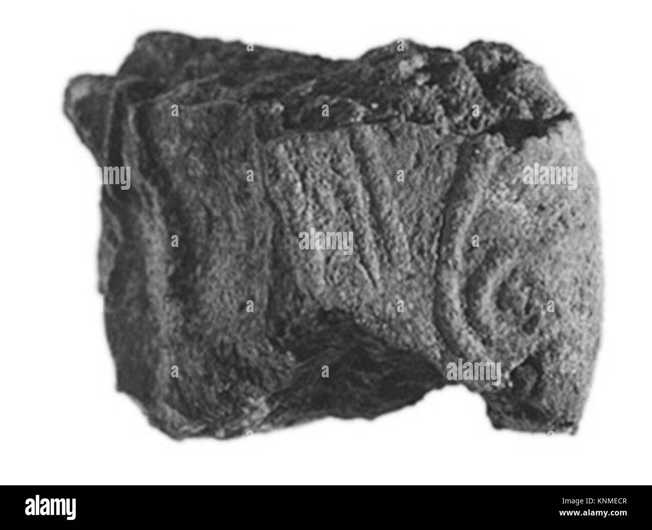 Titel: Verwaltungssiegel, Periode: Mittleres Königreich, Dynastie: Dynastie 12–13, Datum: Ca. 1981–1640 v. Chr., Geographie: Aus Ägypten, Memphite Region, Lisht Süd, südlich des Grabes von Imhotep, nördlich des königlichen Dammes, MMA-Ausgrabungen, 1930–31, Mittel: Ton (ungebrannt) Stockfoto