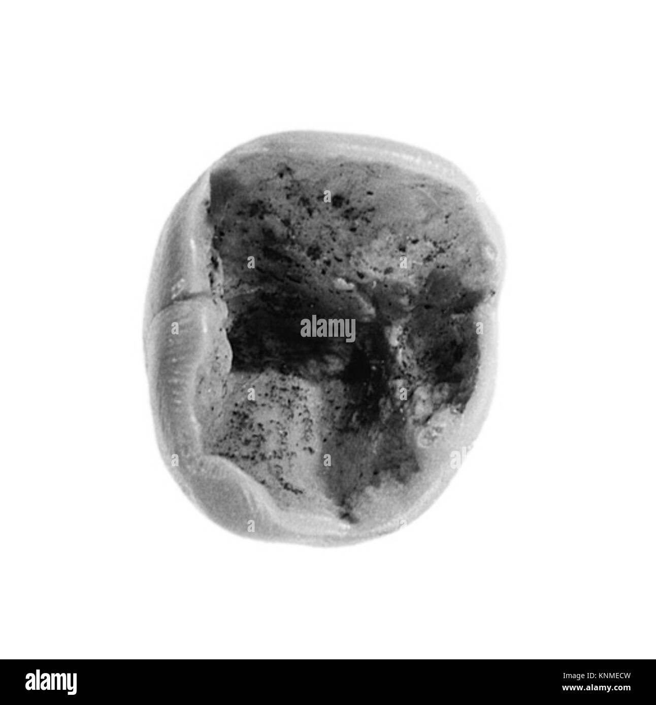 Ein ägyptisches Lehm-Siegel aus der Dynastie 12–13 (ca. 1981–1640 v. Chr.), das in Lisht South nahe Imhoteps Grab gefunden wurde und für offizielle Markierungen verwendet wurde. Stockfoto