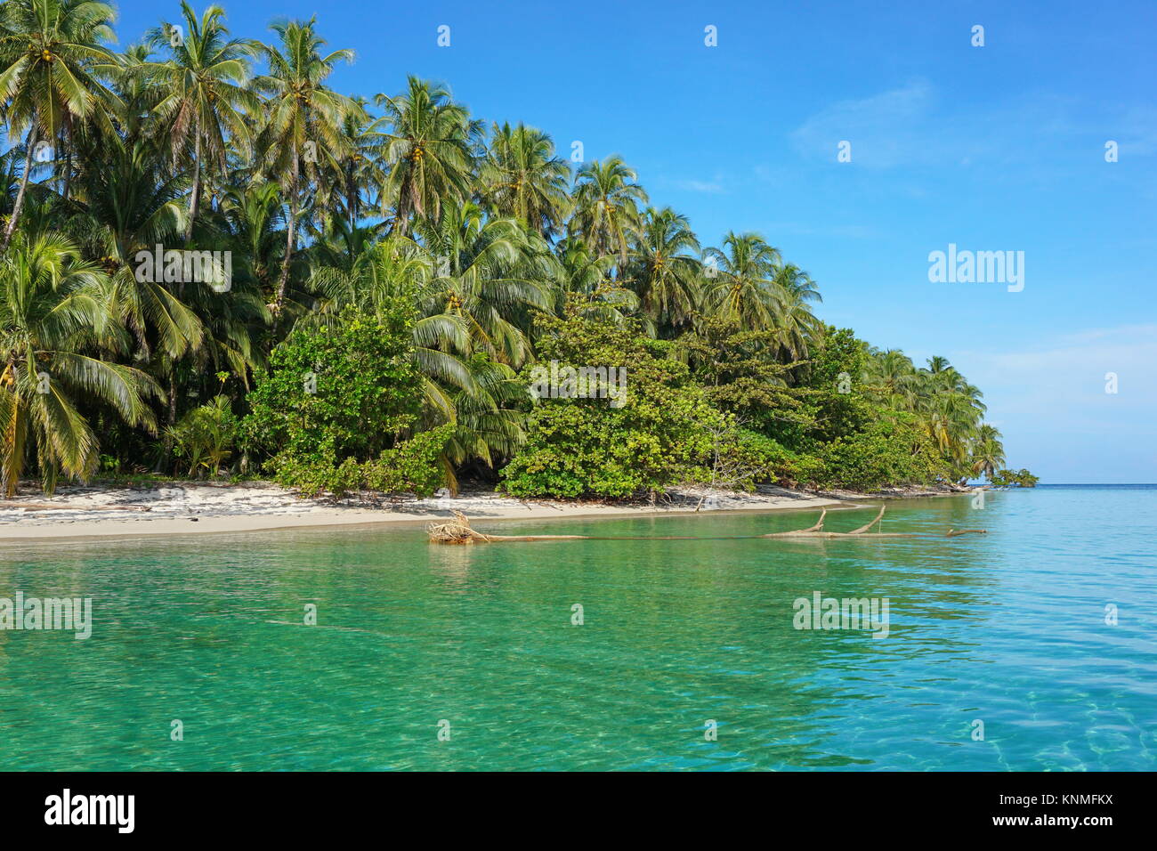 Mittelamerika, Panama, wilde Insel Küste mit üppiger tropischer Vegetation, Bastimentos Marine National Park, Bocas del Toro Stockfoto