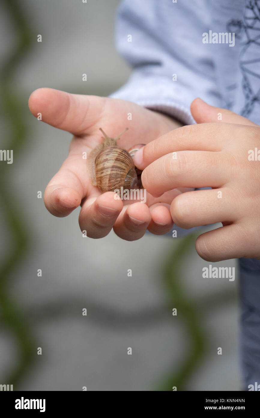 Kleiner Junge mit großen Schnecke in der Hand und spielen mit Es Stockfoto