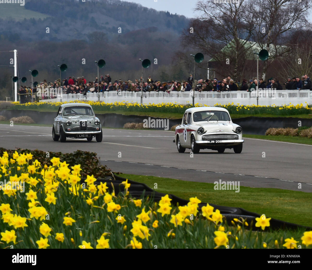 Brian Arculus, Hillman Minx, NJN 208, David Devine, Riley 1-5, LVG 111, Sopwith Schale, Goodwood 73 MM März 2015, 73rd, 73 Mitglieder treffen, Chris Mc Stockfoto