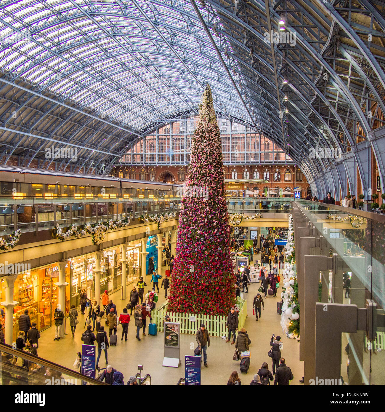 Weihnachtsbaum am Bahnhof St Pancras Stockfoto