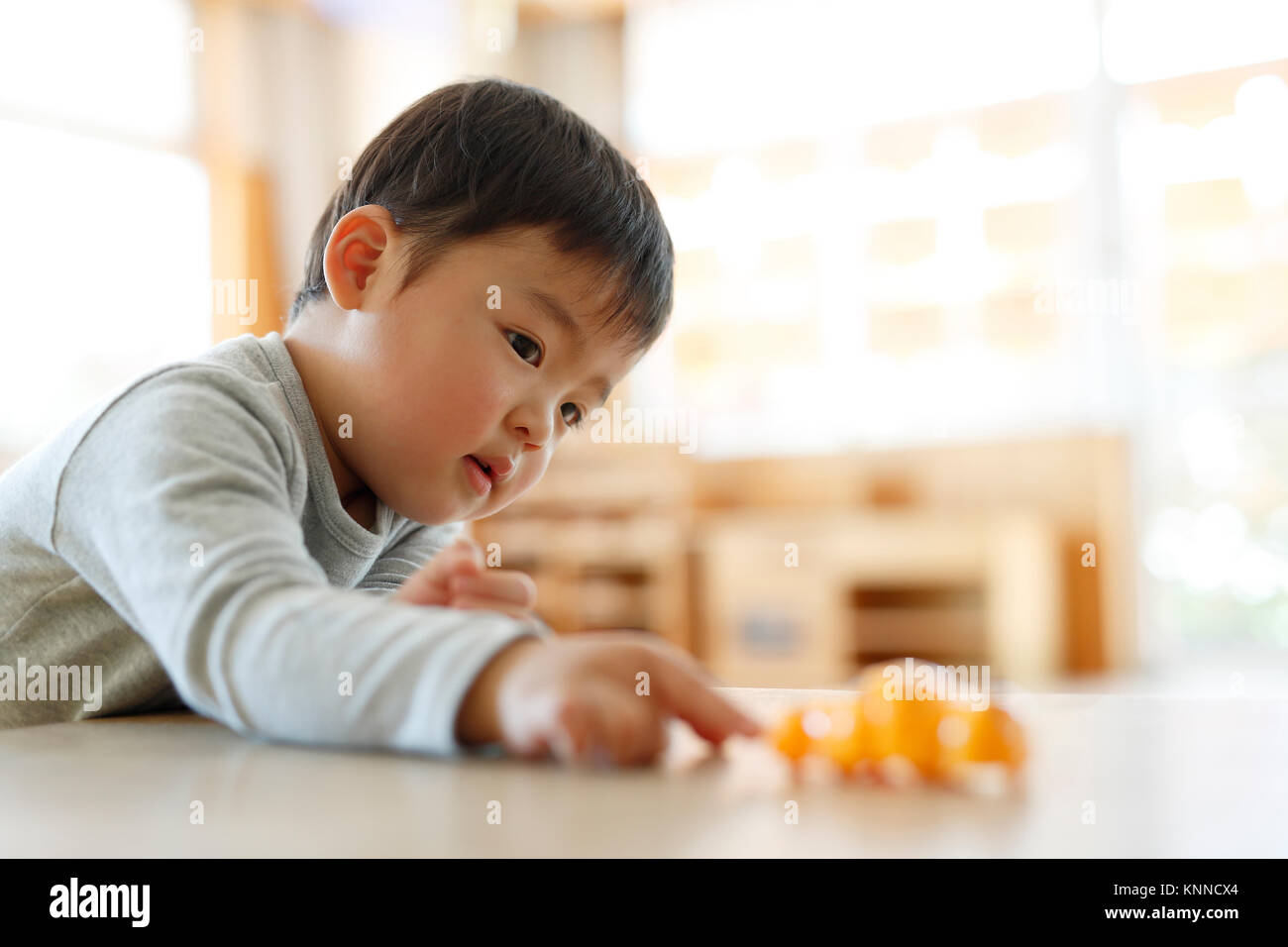 Zicklein am Japanischen Kindergarten Stockfoto