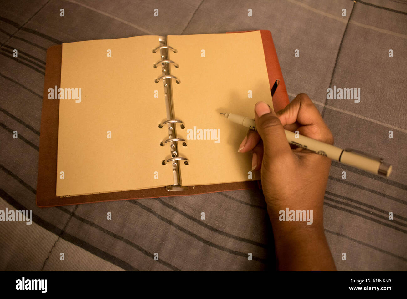 Hand schreiben In leer Buchen Stockfoto