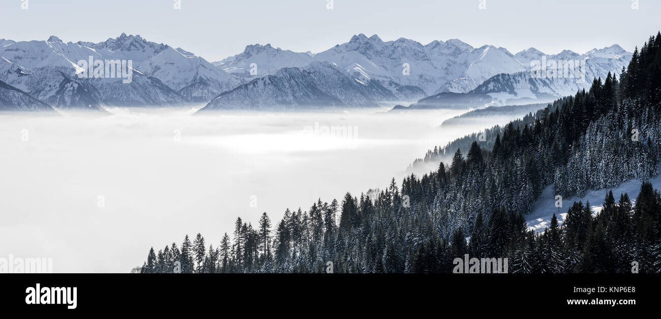 Die bewaldeten Berghang und Gebirge in niedrig liegenden Tal Nebel mit Silhouetten von immergrünen Nadelbäumen eingehüllt in Nebel. Wunderschöne verschneite Winterlandschaft in den Alpen, Bayern, Deutschland. Stockfoto