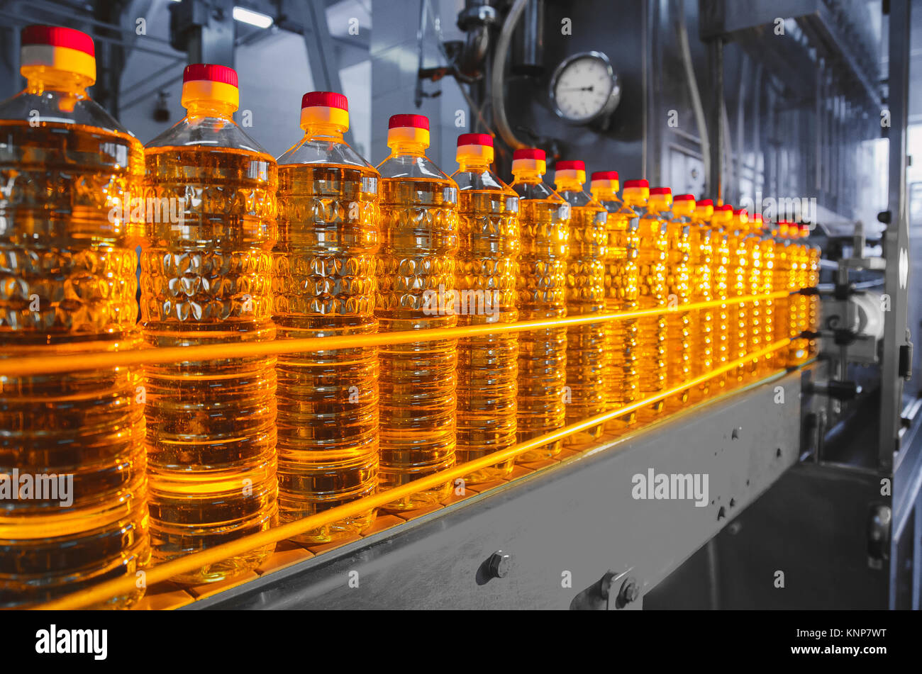 Öl in Flaschen. Die industrielle Produktion von Sonnenblumenöl. Fließband für die Abfüllung und Verpackung. Sonnenblumenöl Anlage Stockfoto