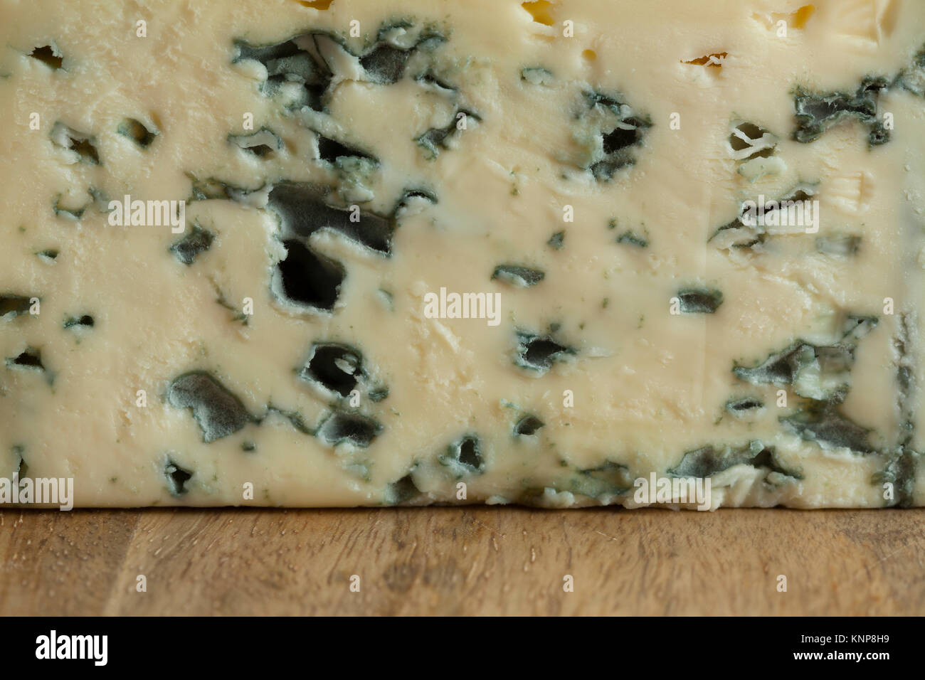Stück der Französischen Bleu d'Auvergne Käse Nahaufnahme Stockfoto