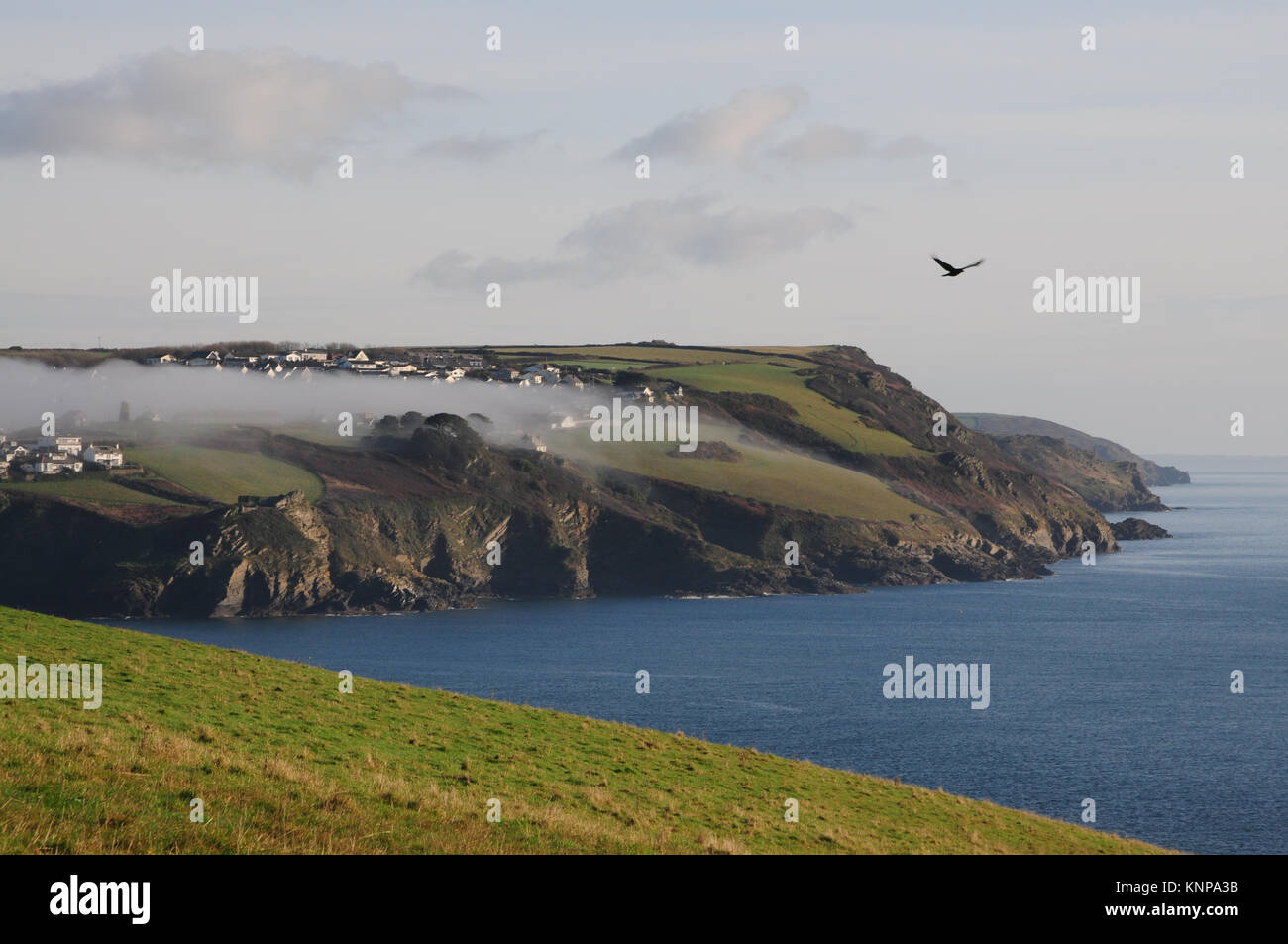 Nebel rollt The Fowey Mündung über Polruan auf einen ruhigen Winter Tag in Cornwall. Stockfoto