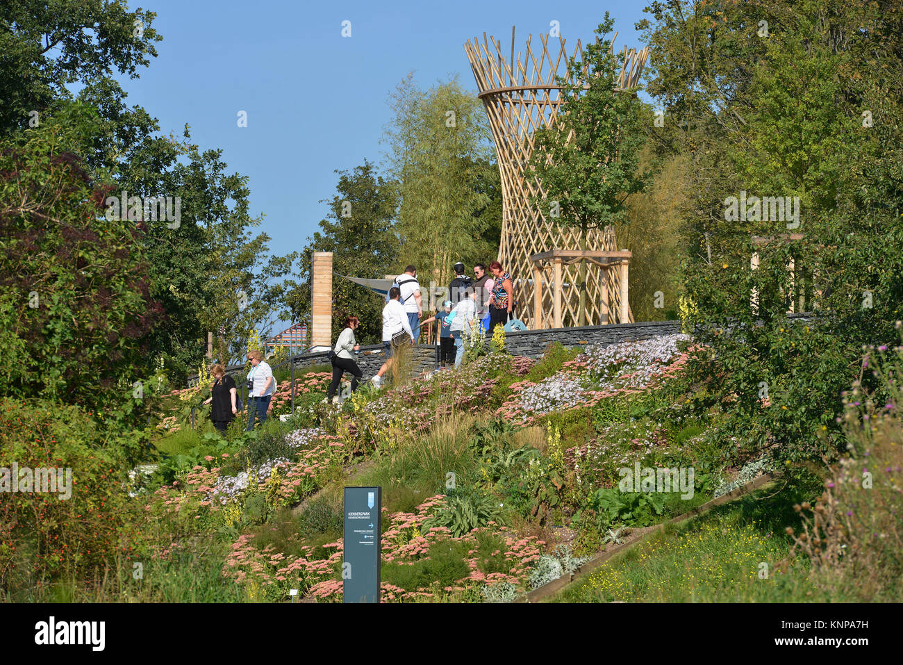 Nadelholz Berg Promenade, IGA, Marzahn, Berlin, Deutschland, Kienbergpromenade, Deutschland Stockfoto