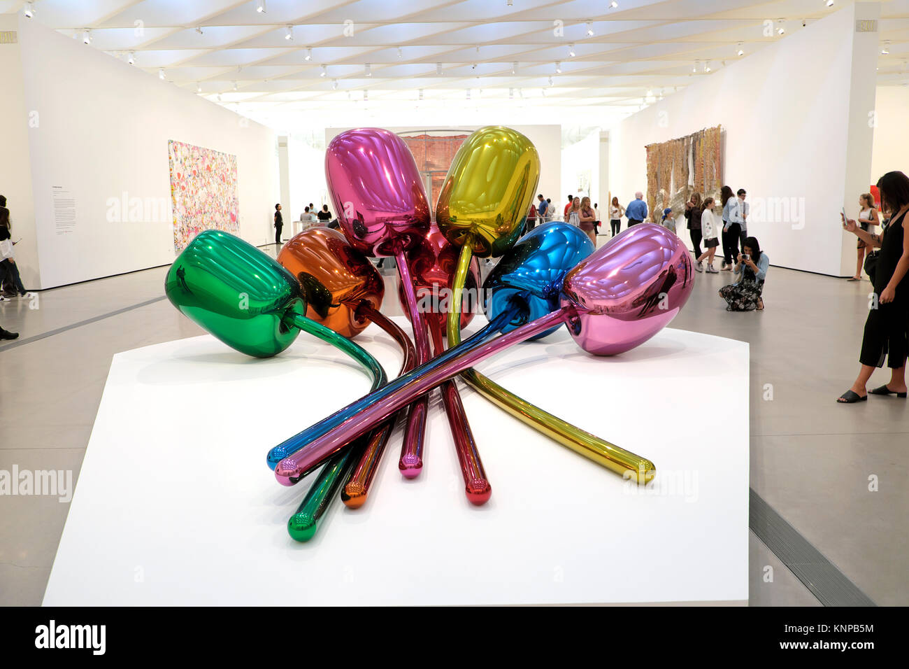 Jeff Koons Tulpe Blume Skulptur an eine innere Galerie im breiten Museum in Downtown S Grand Avenue Los Angeles, La California USA KATHY DEWITT Stockfoto