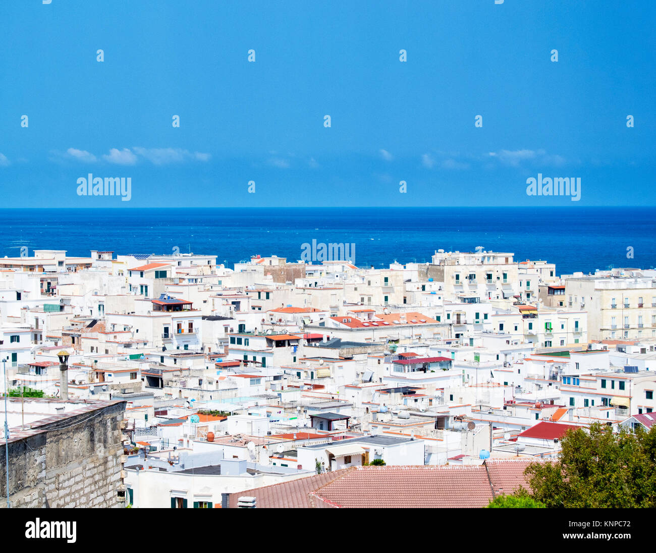 Die weißen Häuser der mediterranen Stadt Vieste, Gargano, Apulien, Italien. für Reisen und Tourismus Konzept Stockfoto