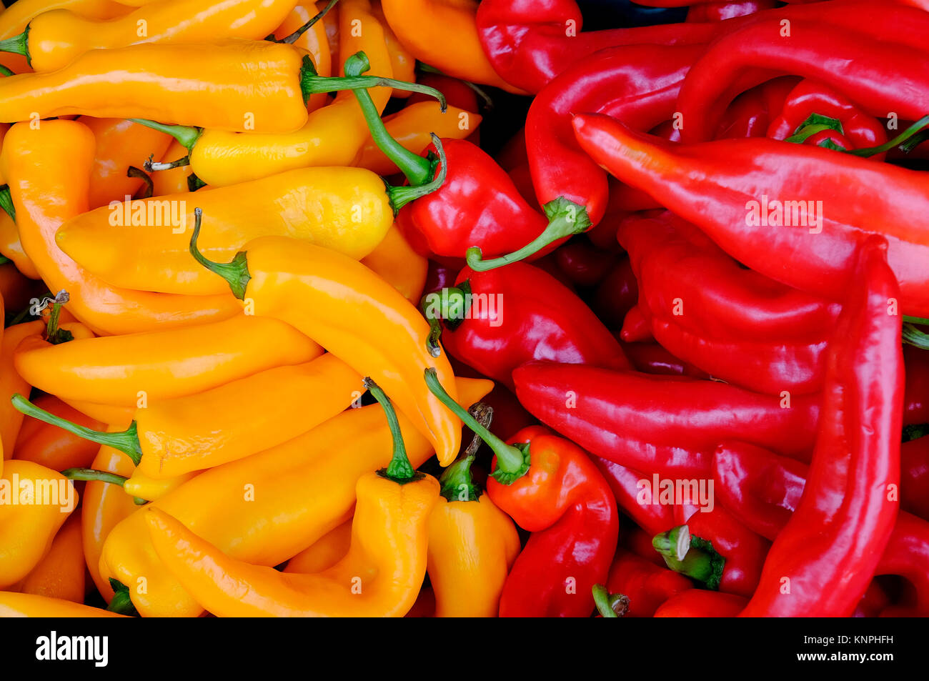 Farbenfrohe gelbe und rote Paprika auf Marktstand Stockfoto