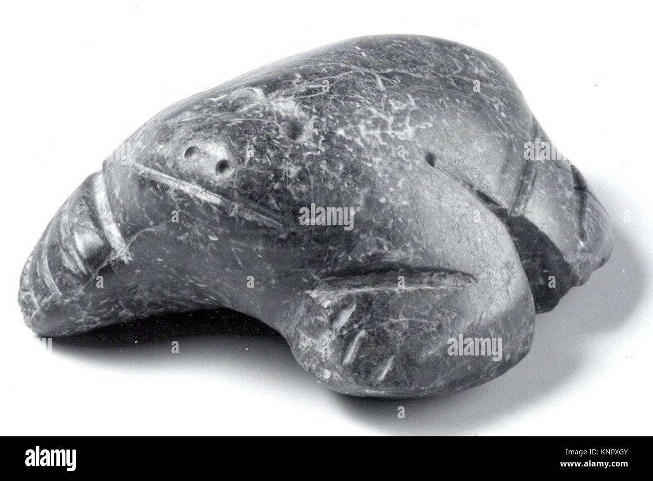 Museumsskulptur eines Frosches mit detaillierter Anatomie und naturalistischer Haltung in der MET-Sammlung. Stockfoto