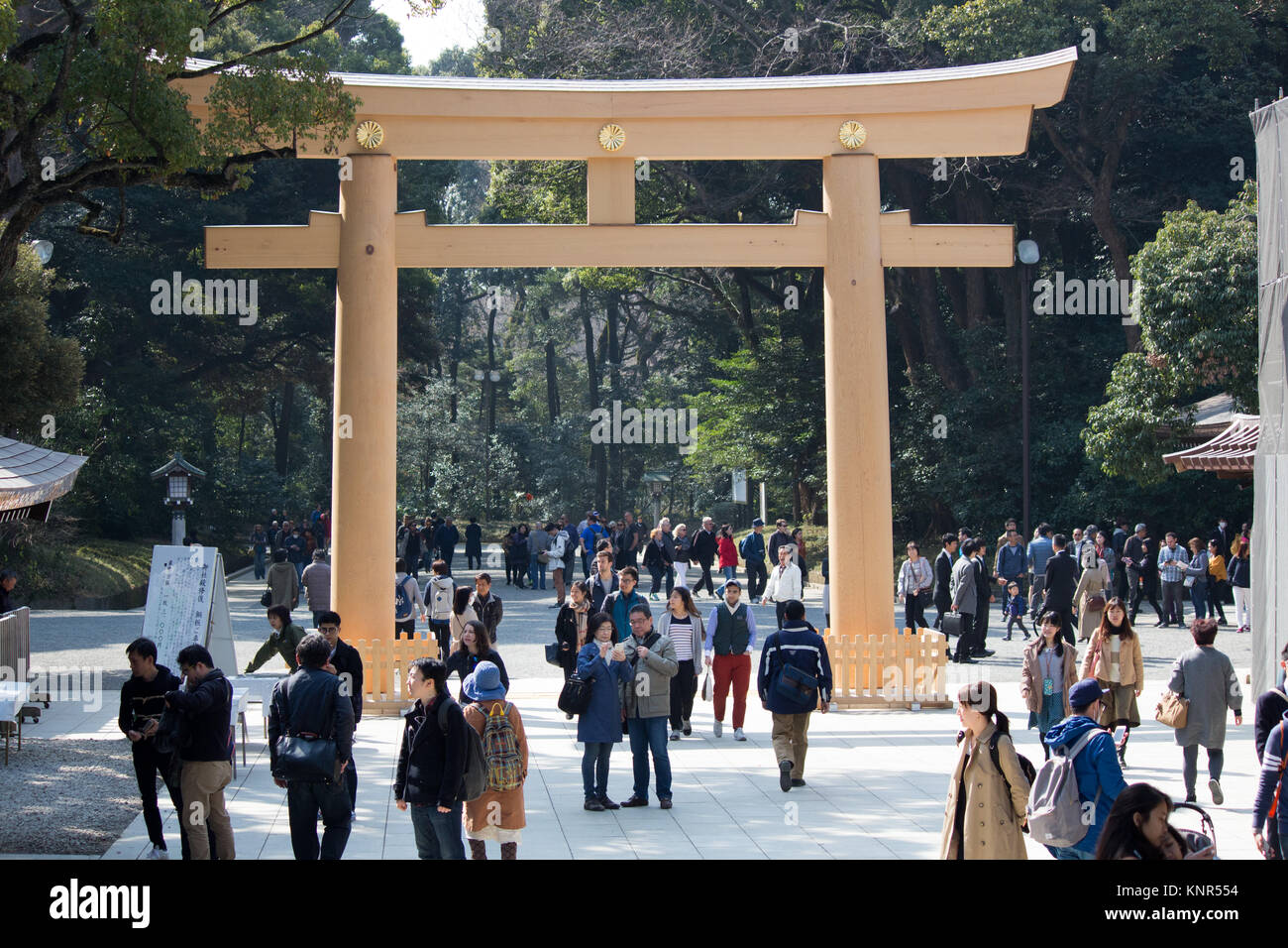 The Torii (shrine archway) at Meiji Jingu shrine in Tokyo Stockfoto