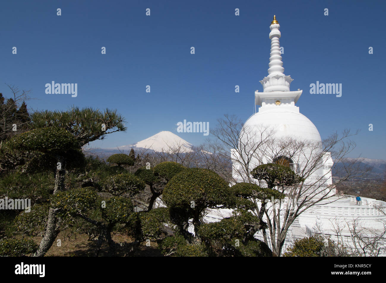 Die buddhistischen Tempel in einem Frieden Garten am Stadtrand von Gotenba mit Blick auf den Berg Fuji gelegen Stockfoto