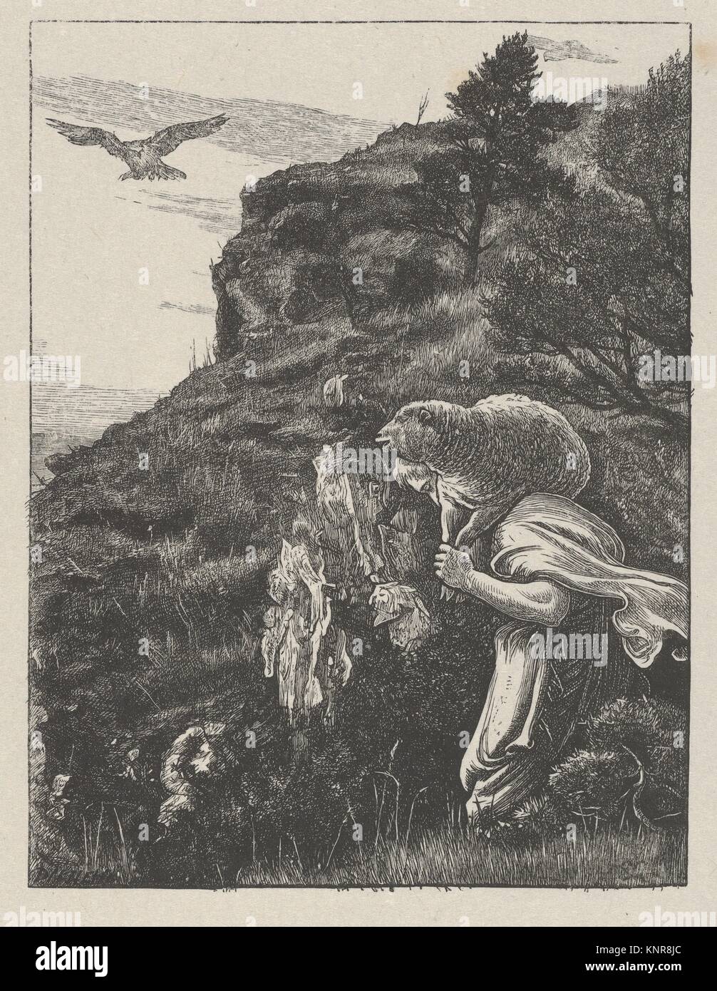 Gleichnis vom verlorenen schaf -Fotos und -Bildmaterial in hoher