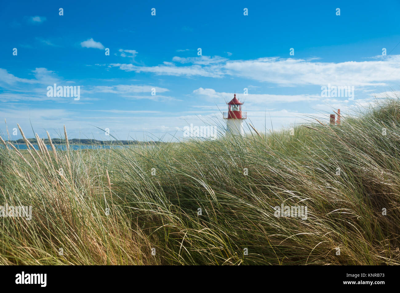 Leuchtturm List West, Ellenbogen, Sylt Schleswig-Holstein Deutschland Stockfoto