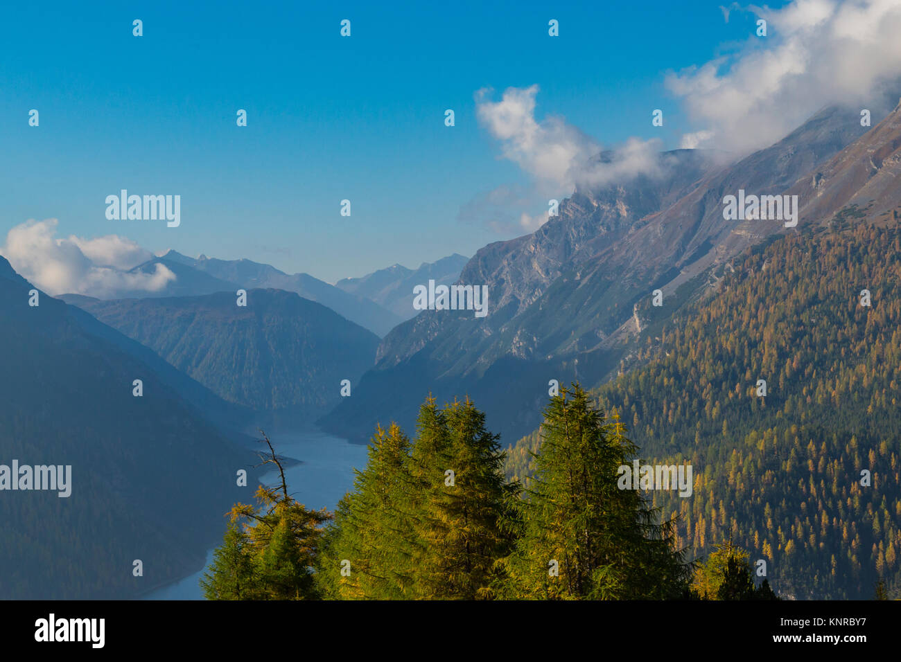 Lago di Livigno See mit blauem Himmel, Wolken und Berge, Wald Fichte Stockfoto