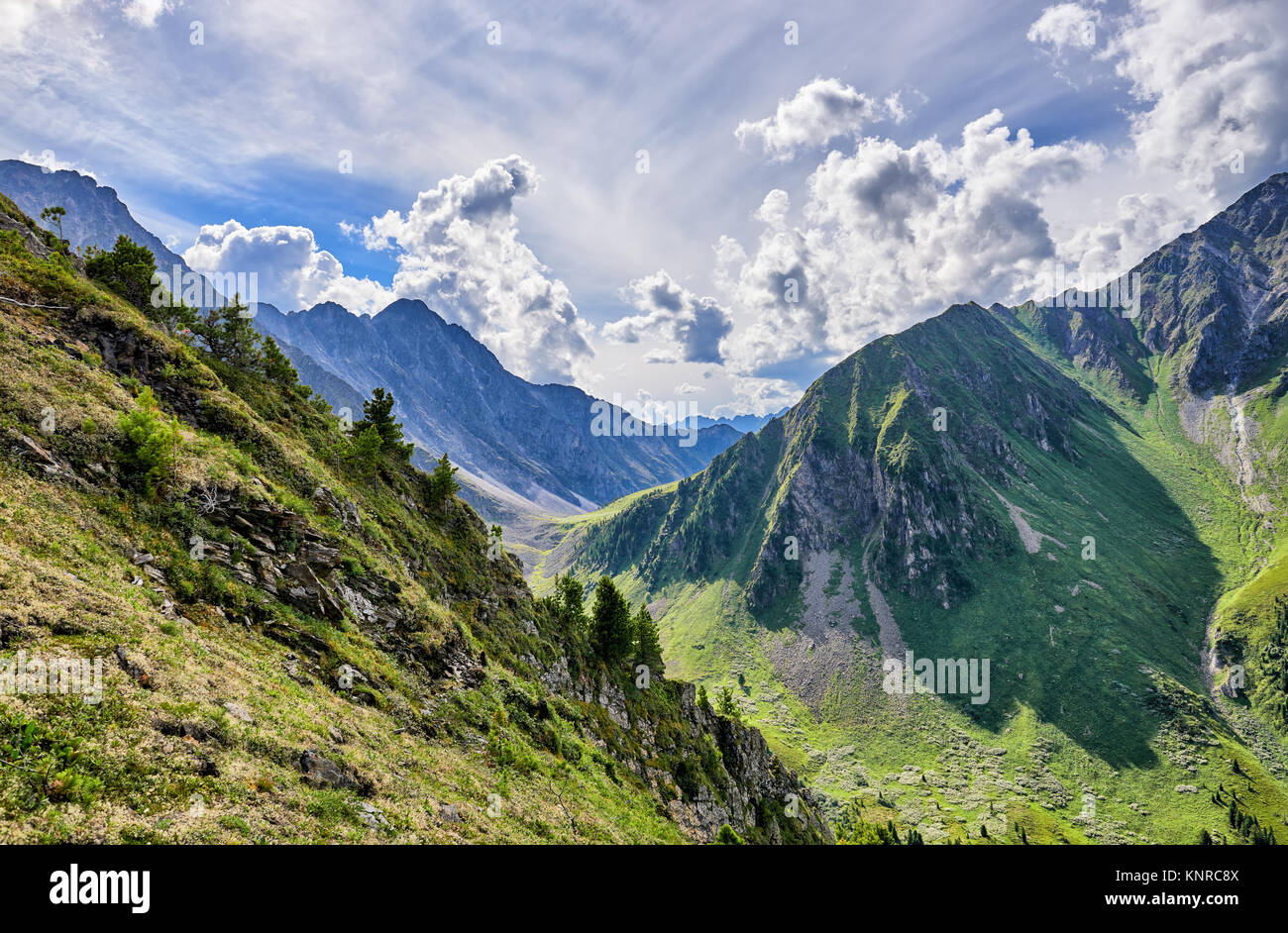 Berg Tal. Der Abstieg vom Pass. Steilen Hang der Tundra mit seltenen kleinen sibirischen Kiefern. Russland Stockfoto