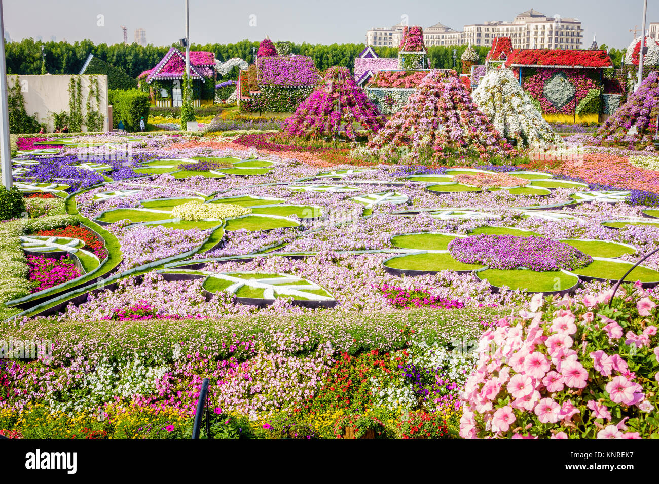 Dubai, VAE, 22. Januar 2016: Wunder Garten ist eine der wichtigsten touristischen Attraktionen in Dubai, VAE Stockfoto