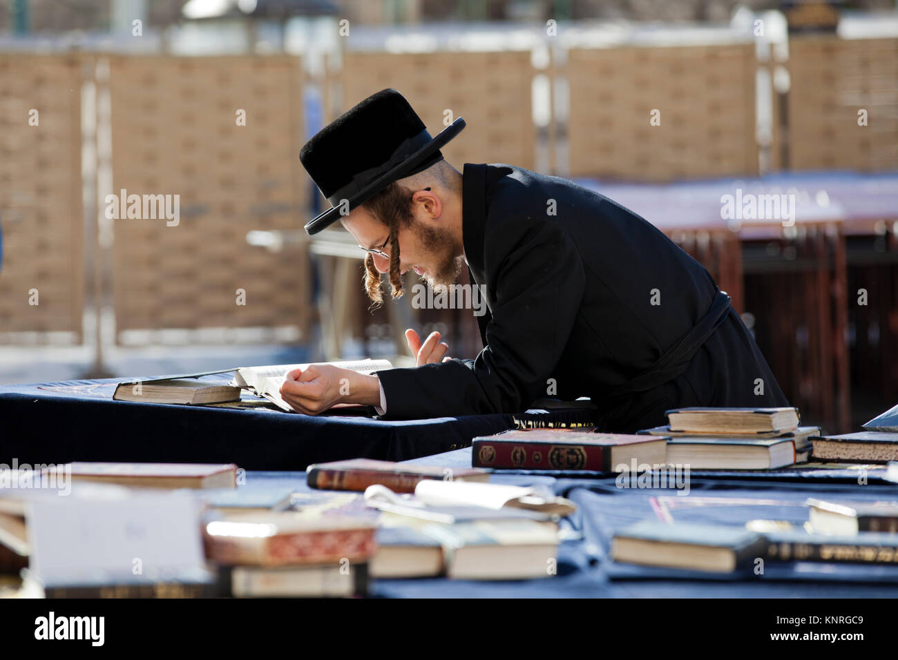 Ein orthodoxer Jude liest eine Thora an der westlichen Mauer im Zentrum von Jerusalem, Israel Stockfoto
