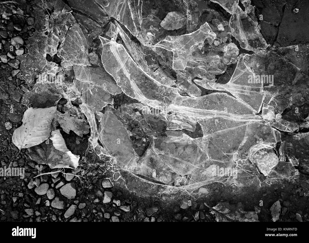 Blick von oben auf gebrochenes Eis auf dem Boden, in Monochrom, Dumfries, Schottland. Stockfoto