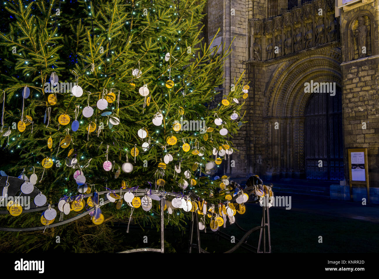 'Licht ein Leben' Memorial Tags auf der hl. Barnabas Hospiz Weihnachtsbaum außerhalb der Kathedrale von Lincoln, Lincolnshire, Großbritannien Stockfoto